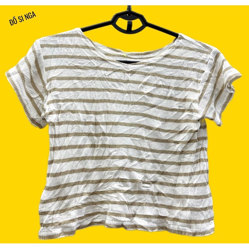 ÁO THUN COTTON ( Croptop ) KIỂU JAPAN 142270