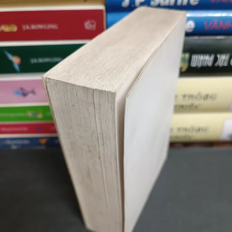 Nhà thờ đức bà Paris 564673