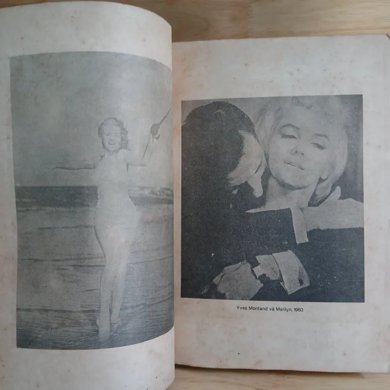Những Mối Tình & Cuộc Đời Của Marilyn Monroe - Norman Mailer 560560
