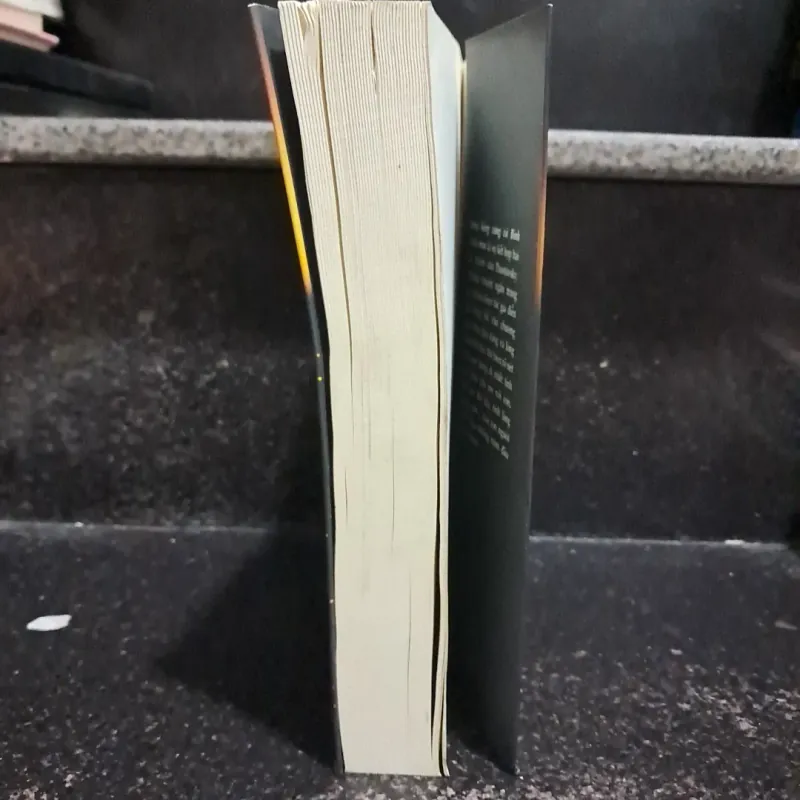 Bông hồng vàng và bình minh mưa 1006060