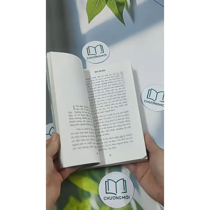 Giường - Phan An 694986