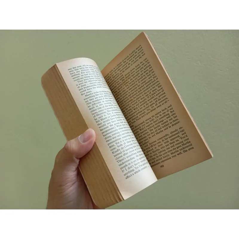 A ripple from the storm, sách ngoại văn tiếng Anh english book tiểu thuyết  707876