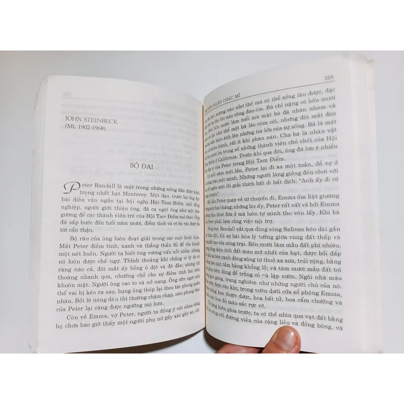 Truyện Ngắn Châu Mỹ Tập 2 723244