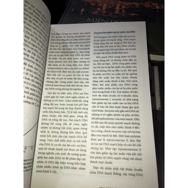 Sinh học phân tử của tế bào tập 2  1010154