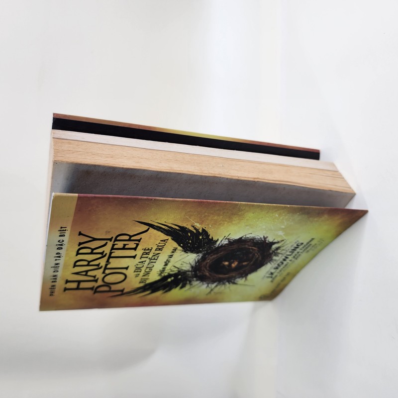 Harry Potter và đứa trẻ bị nguyền rủa (phần 1,2) 144344