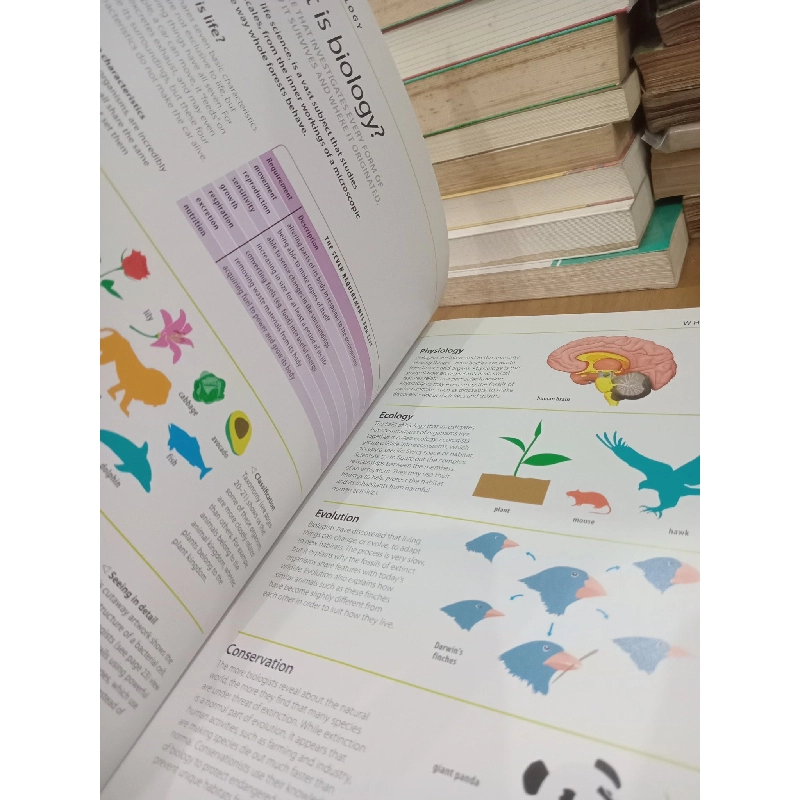 Help your kids with science - Carol Vorderman 934187