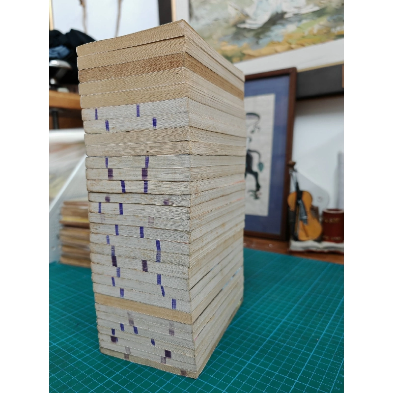 TRUYỆN TRANH SHAMAN KING ( VUA SHAMAN ) ĐỌC XUÔI 324438