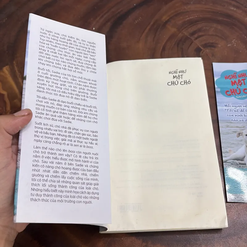 II Nghĩ Như Một Chú Chó _ Loài Chó Dạy Ta Sống Hạnh Phúc Và Thành Công - SCOTT MACDONALD 976345