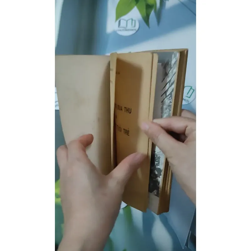 [MIỄN PHÍ BỌC SÁCH] [XƯA] [HIẾM] Cách Mạng Mùa Thu Và Giang Sơn Tuổi Trẻ (1992) 928584