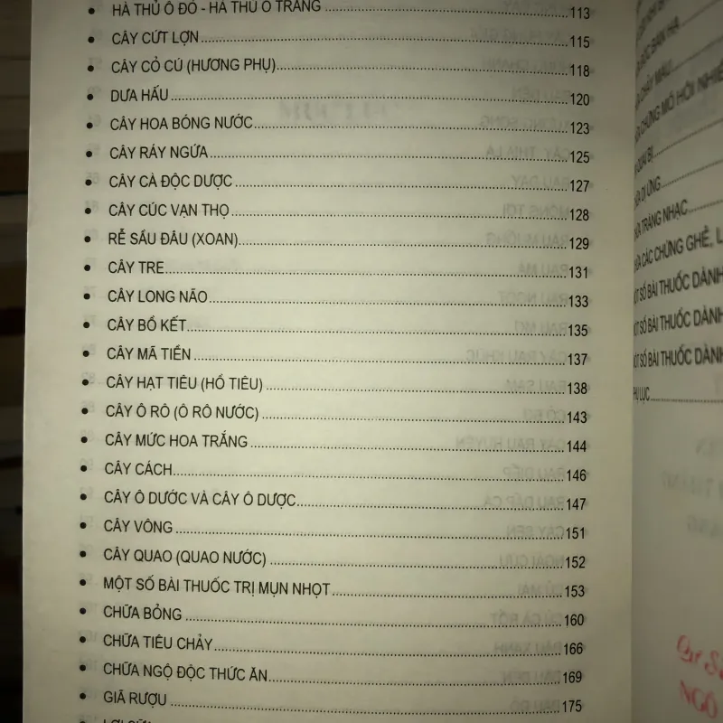 Thuốc quý vườn nhà bạn - Chữa bệnh bằng cây thuốc nam - Mai Hoa 936884