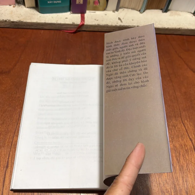 II Sách Phật Giáo: Thư Gửi Cho Người Em Tịnh Độ - Thích Hồng Nhơn - 2006 928107