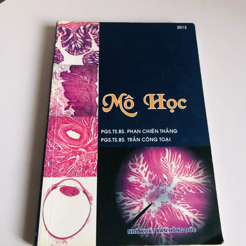 MÔ HỌC -2013 578180