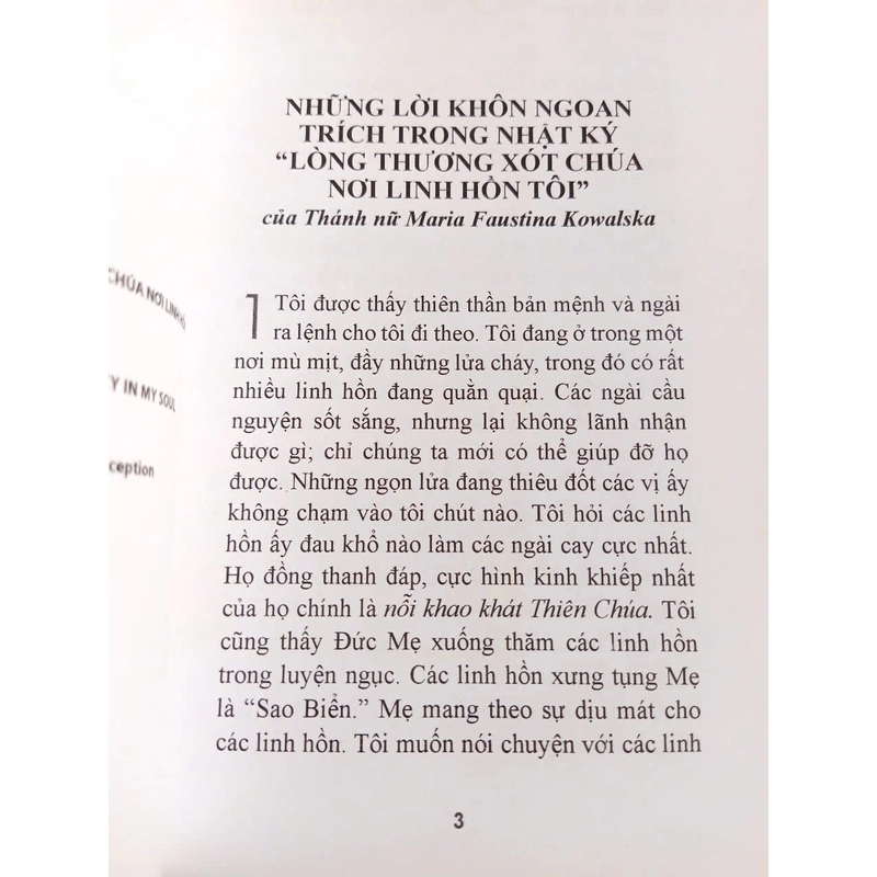 Những Lời Khôn Ngoan - trích trong nhật ký Lòng Thương Xót Chúa nơi linh hồn tôi 335614