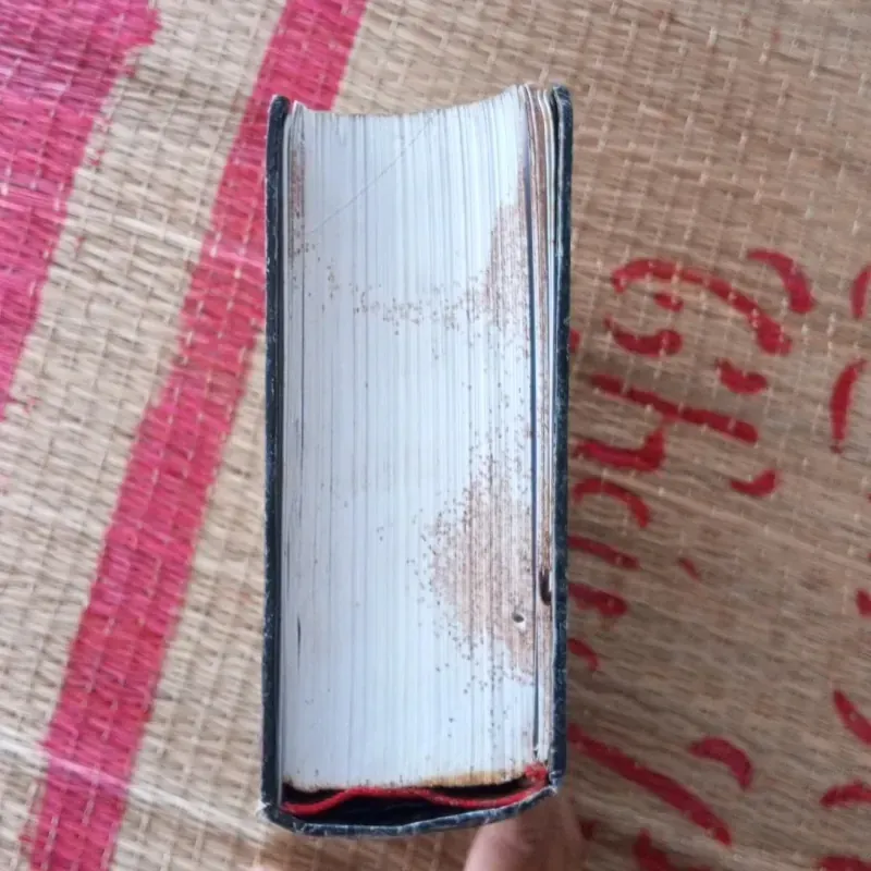 Thực Trạng Châu Au  1029989