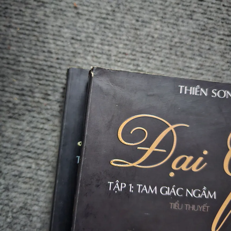 Đại gia - Thiên Sơn 730460