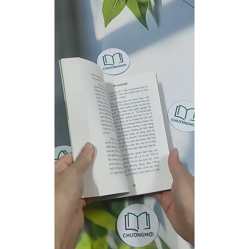 Giường - Phan An 694986