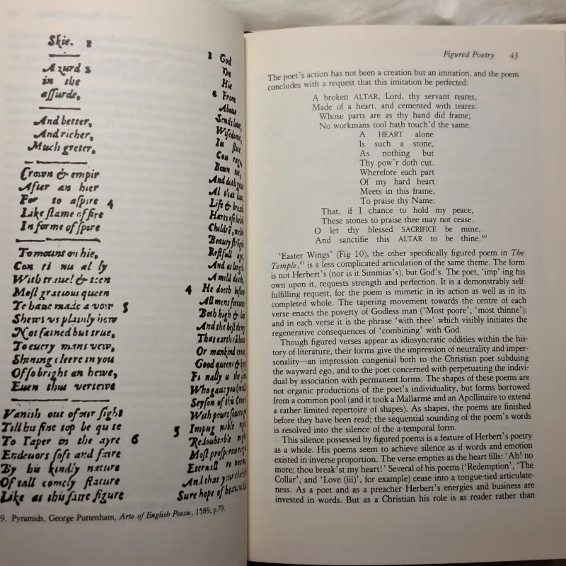 Seeing Through Words: The Scope of Late Renaissance Poetry 783237