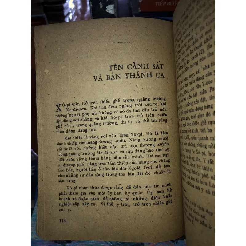 Hoa dại     975933