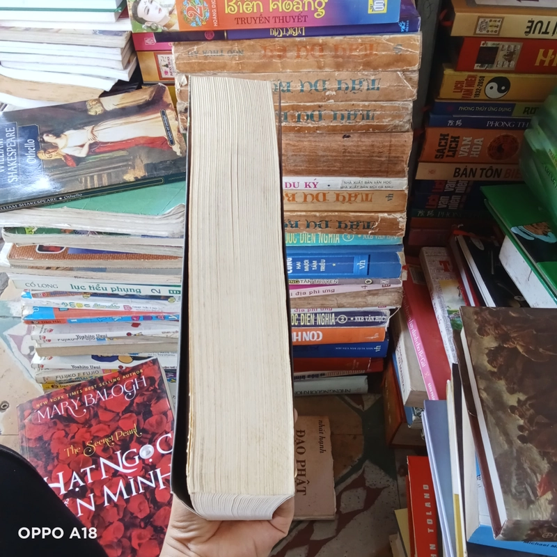 Những Mảnh Ghép Quân Vương 524267