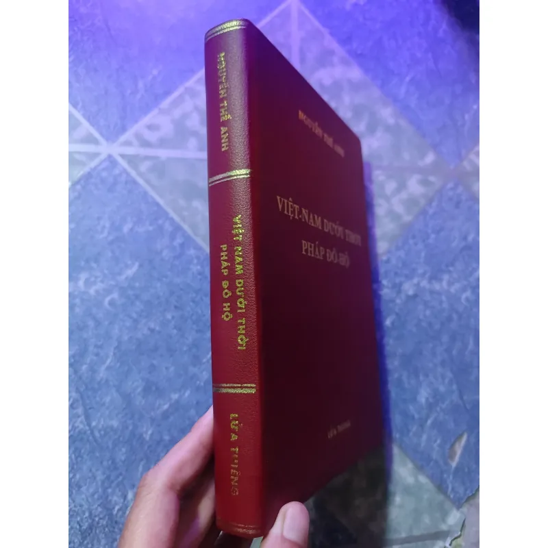 Việt Nam dưới thời Pháp đô hộ - Nguyễn Thế Anh 1046660