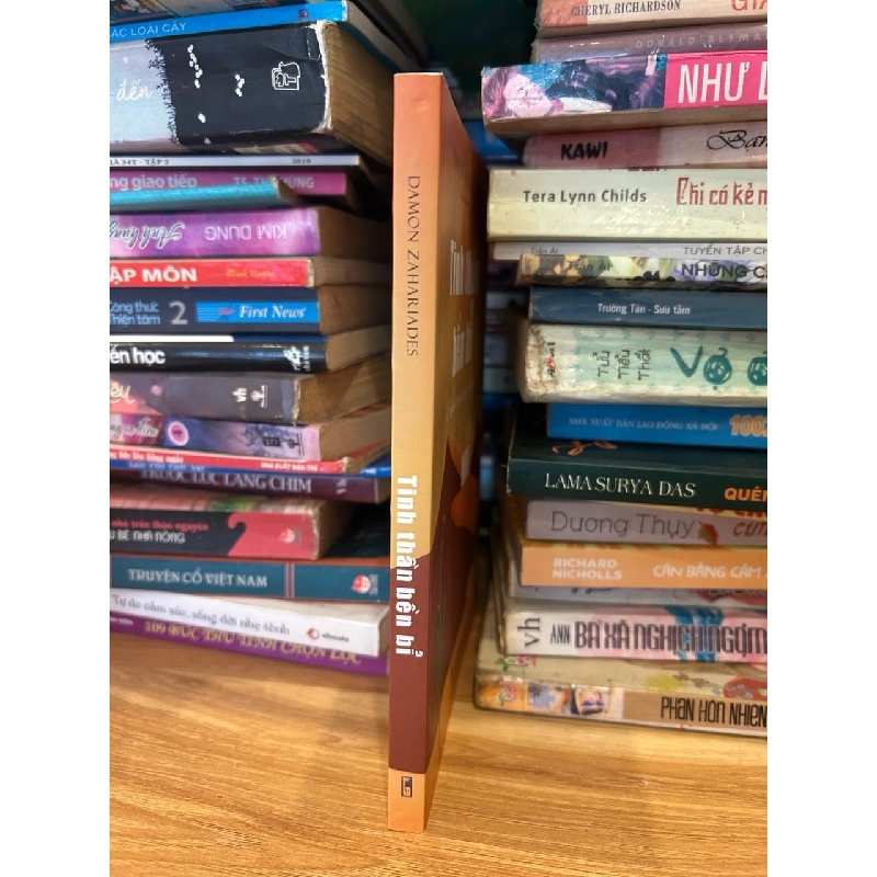 Tinh thần bền bỉ -Damon Zahariades 786309