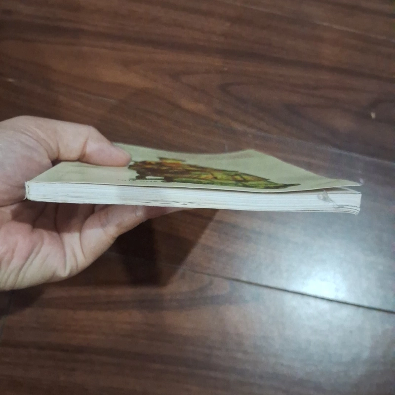 Chuyện nội cung chín đời chúa 511030