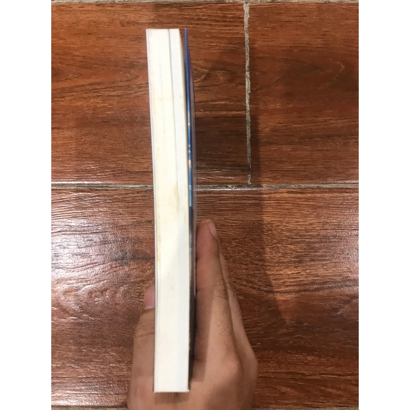 Chân đi không mỏi - Đinh Hằng hành trình Đông Nam Á (k4) 542165
