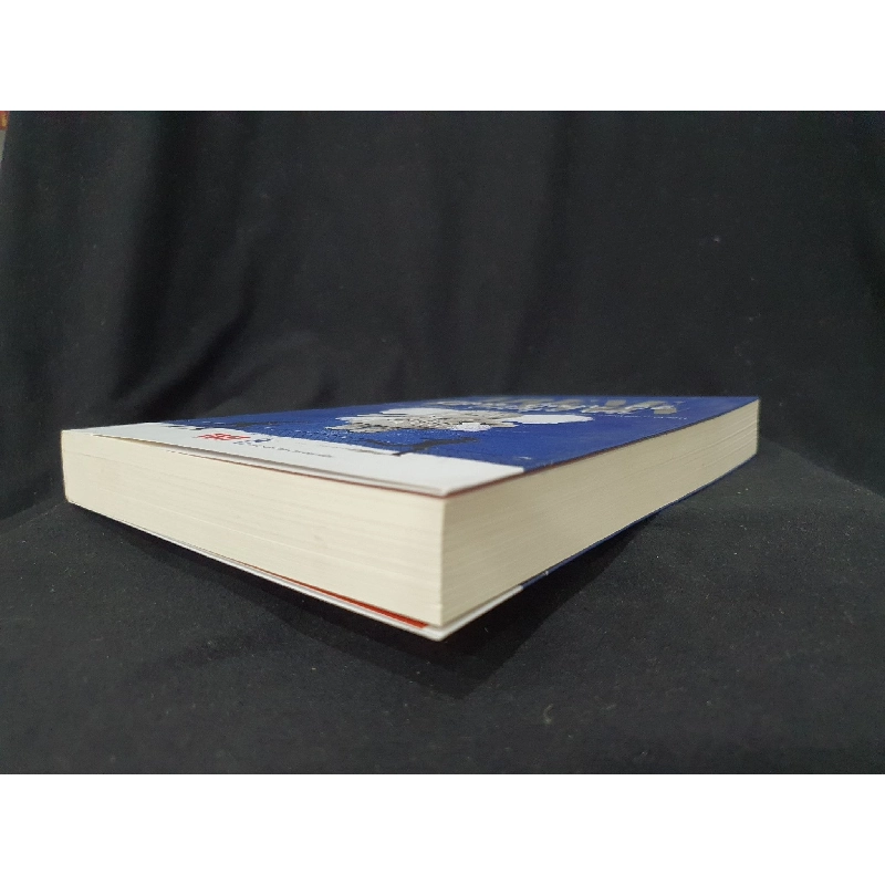 Con búp bê chắp vá mới 90% 2018 -HCM205 Ireve Hannon SÁCH VĂN HỌC 914688