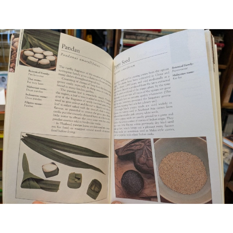 Asian Herbs & Spices 754217