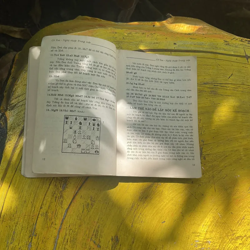 COMBO CỜ VUA HÃY CHƠI ĐỂ CHIẾN THẮNG- CỜ VUA NGHỆ THUẬT TRUNG CUỘC 707502