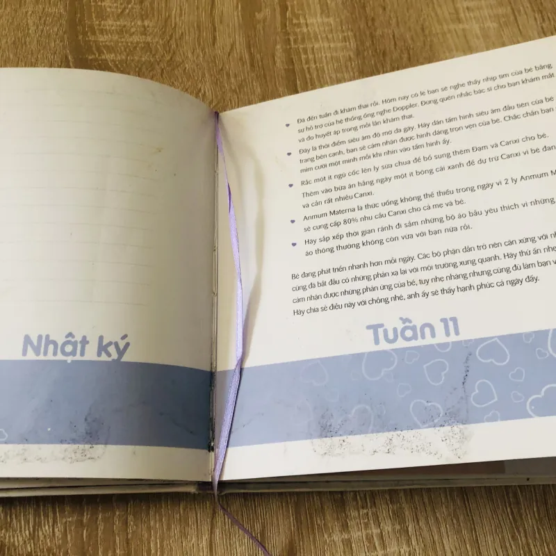 NHẬT KÝ THAI KỲ 40 TUẦN HẠNH PHÚC  Sách bìa cứng, in màu, giấy bóng  304057
