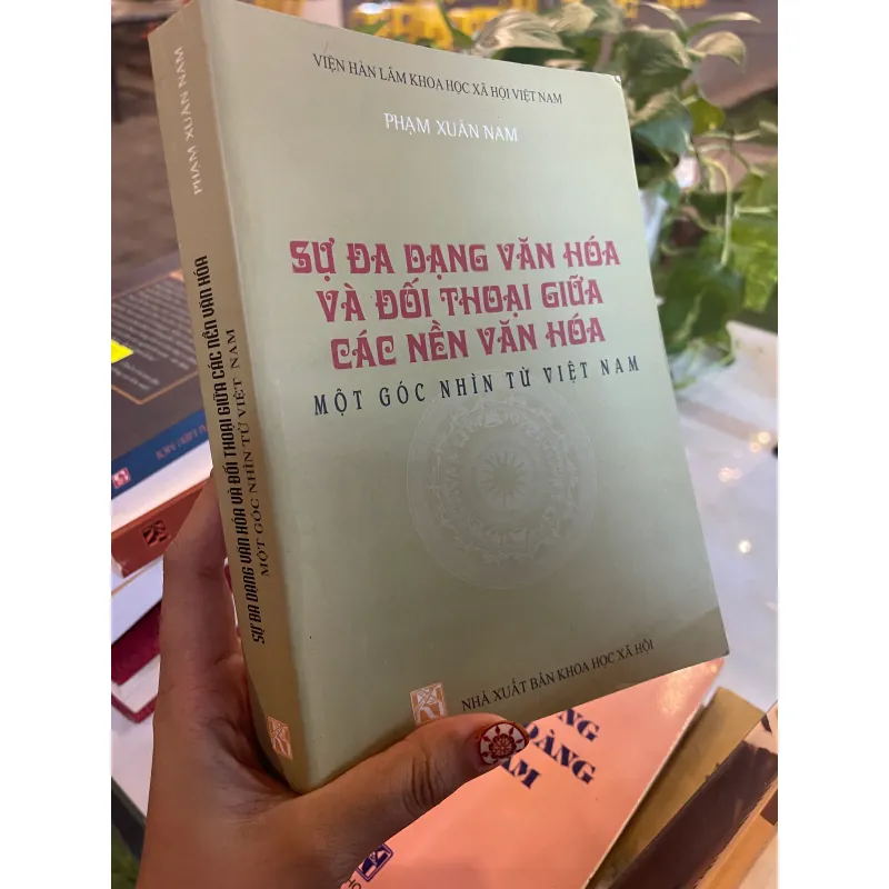 SỰ ĐA DẠNG VĂN HOÁ VÀ ĐỐI THOẠI GIỮA CÁC NỀN VĂN HOÁ MỘT GÓC NHÌN TỪ VIỆT NAM  1027581