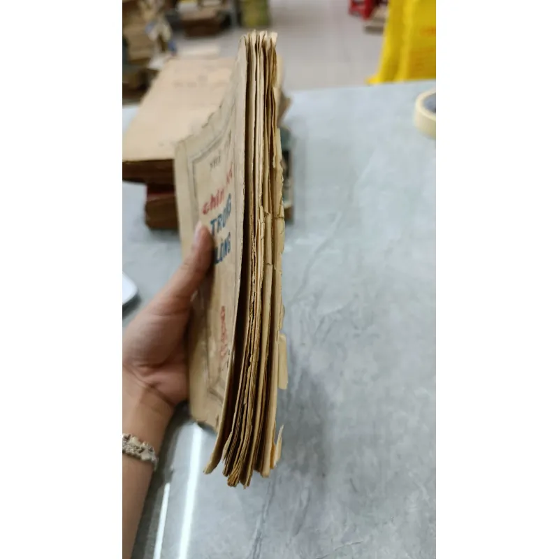 CHIM HÓT TRONG LỒNG  - NHẬT TIẾN 758080