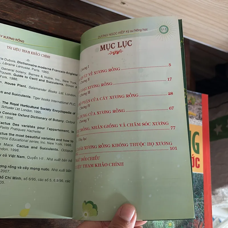 II Cây Cảnh: Xương Rồng Và Cây Mọng Nước (Sách Màu) - Dương Ngọc Hiệp 718583