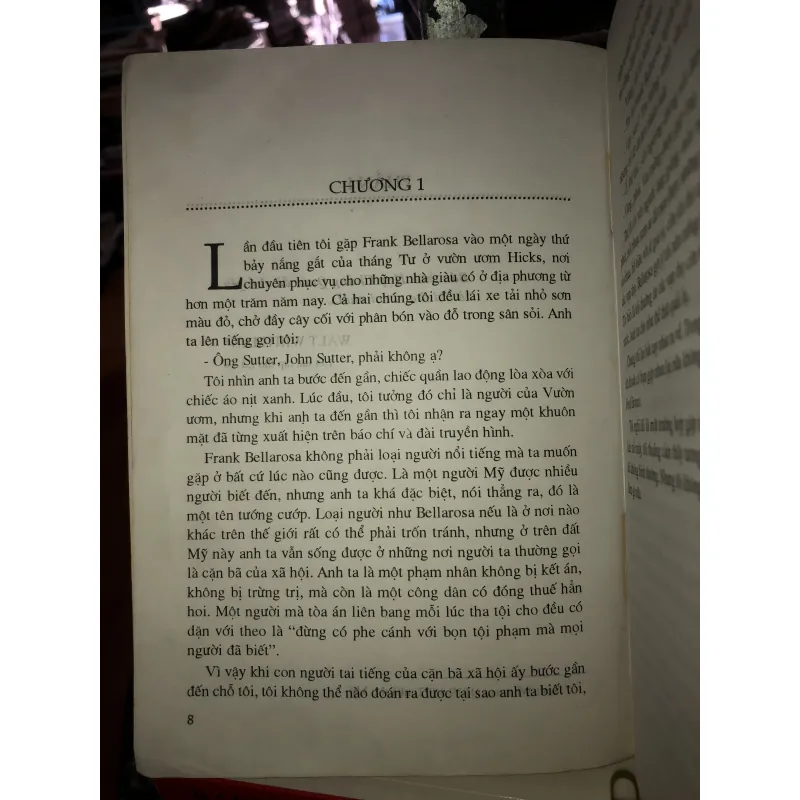 Bờ biển vàng - Nelson Demille 994700