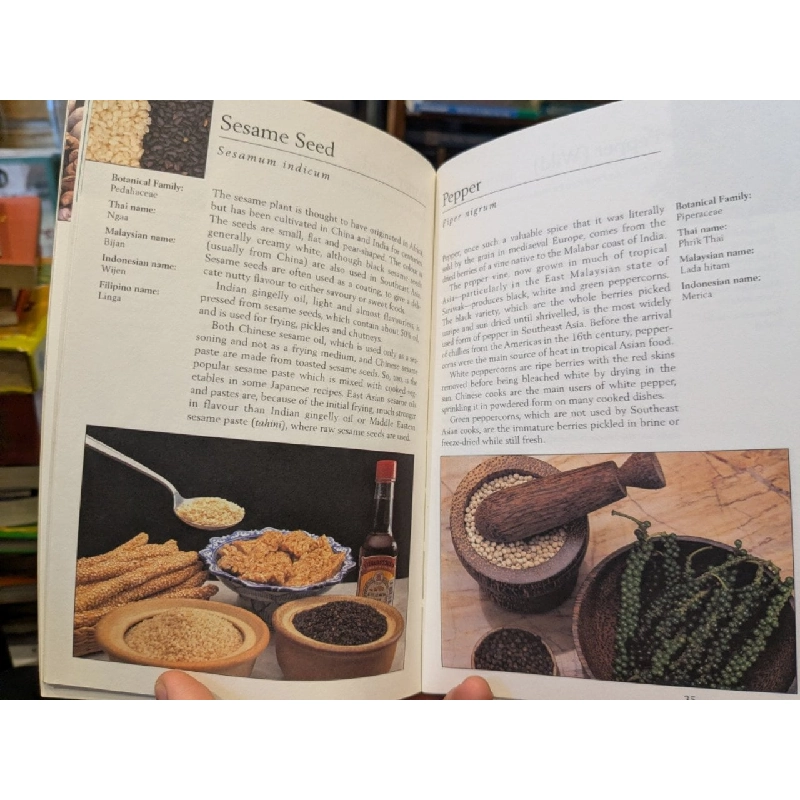 Asian Herbs & Spices 754217