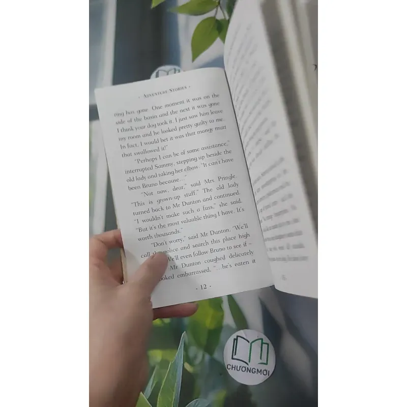 Adventure Stories 1033615