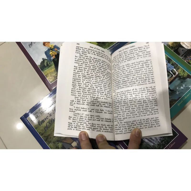 Truyện - Anne of Green Gables Complete - No box 8 books 426880