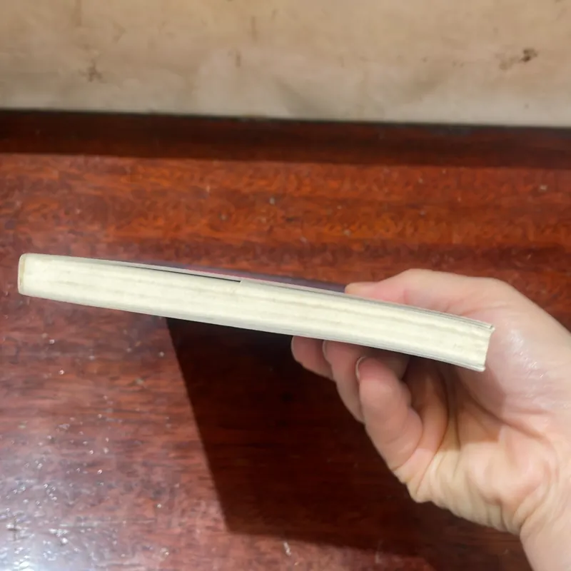 Chúng ta là những đứa trẻ cô đơn - DƯA HẤU HẠT TÍM - người trẻ việt - tản văn  1029375