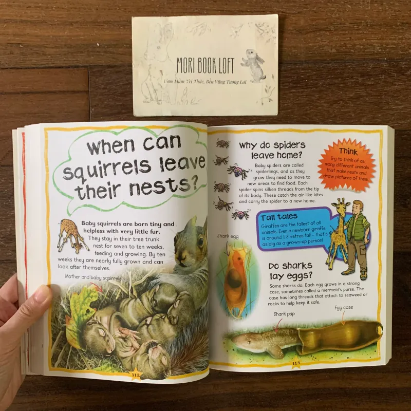 Sách ngoại văn My First Animal Questions and Answers, Used, Siêu Dày 578055