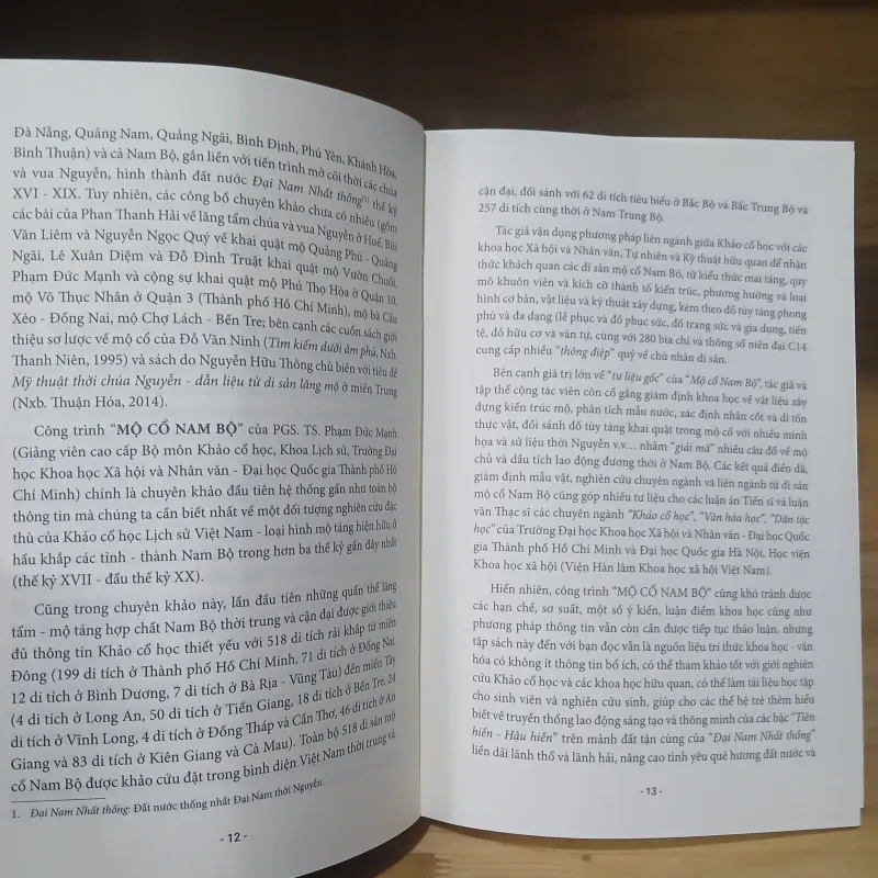 Mộ Cổ Nam Bộ - Phạm Đức Mạnh 1003658