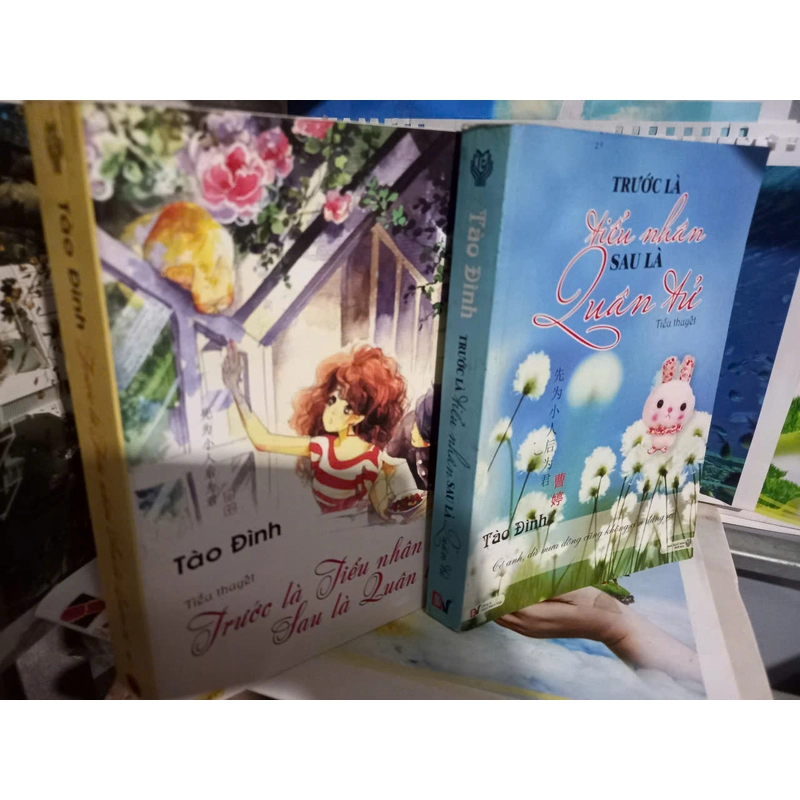 tiểu thuyết tào đình 501093