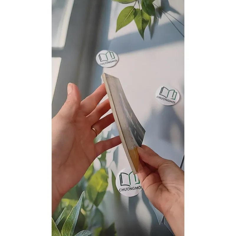 Chuyện Kể Bên Mộ Bà Hoàng Thị Loan - Bá Ngọc & Trần Minh Siêu 970231