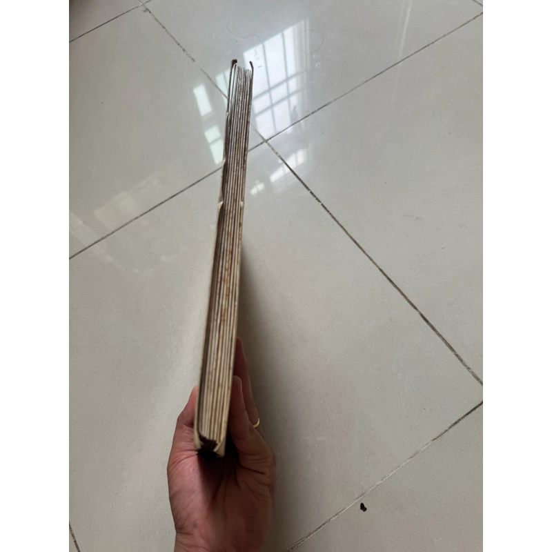 Gương buồm lên 522707