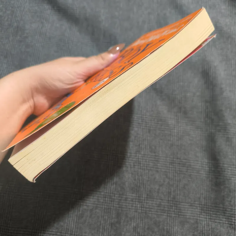 The boy in the dress - David Walliams  755728