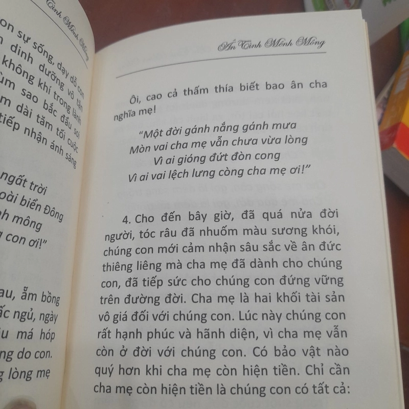 Thích Thiện Đạo, Thích nữ Viên Thắng - ÂN TÌNH MÊNH MÔNG 531070