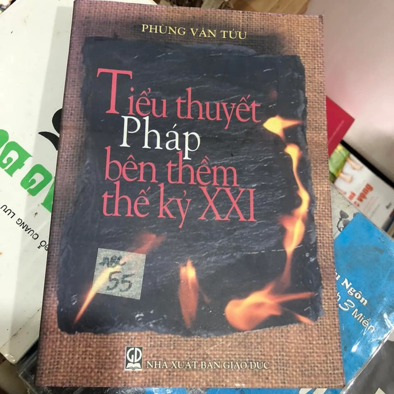 Tiểu thuyết Pháp bên thềm thế kỷ XXI - Phùng Văn Tửu 316260