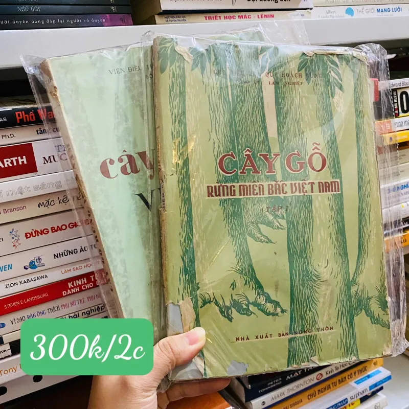 Combo 2 quyển - Cây gỗ rừng miền Bắc Việt Nam#HATRA 759434