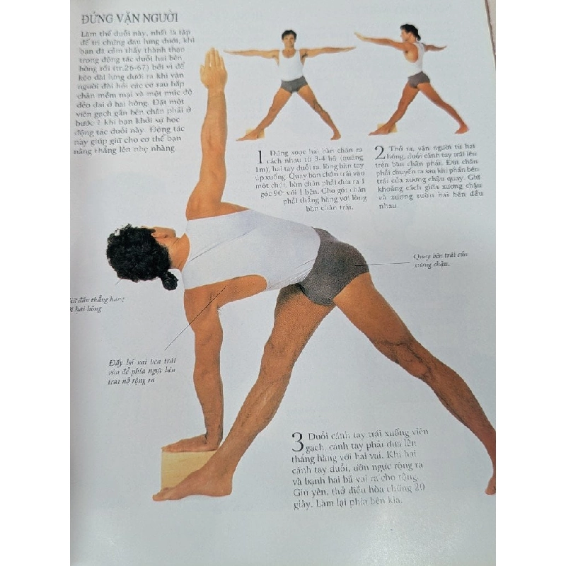 Phương pháp tập duỗi người toàn diện thể dục thư giãn - Khoa học Mỹ Dung 785947