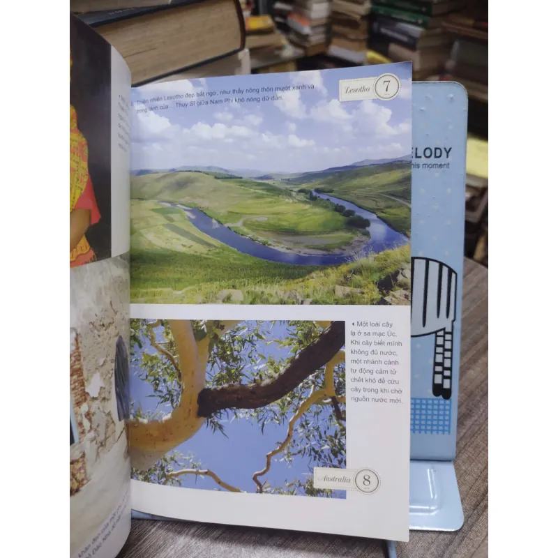 Sách Tôi là một con lừa 603795